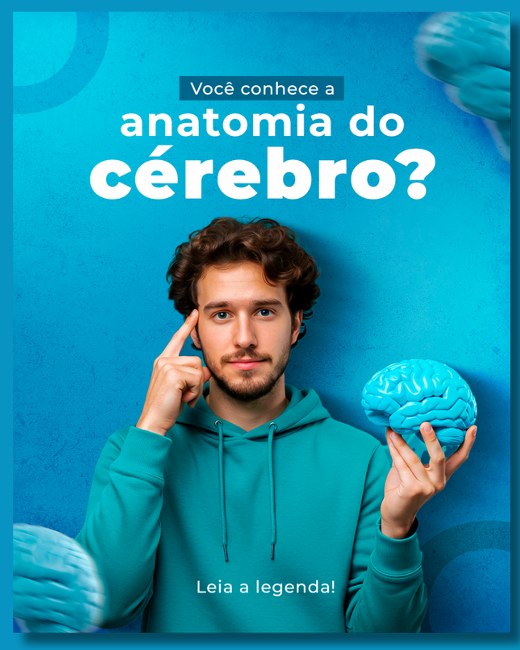 Anatomia do Cérebro